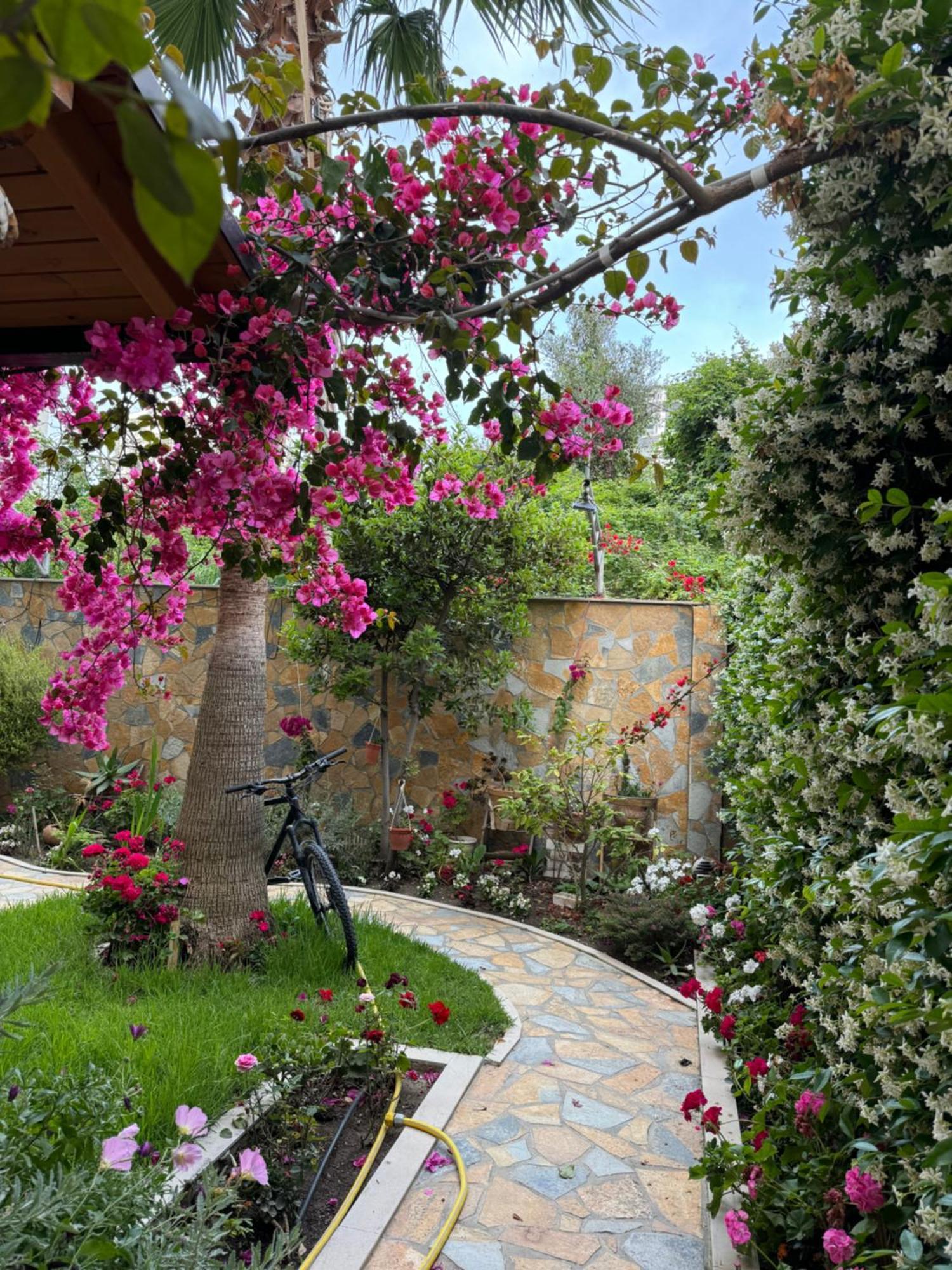 Guest Room Angolo Toscano Vlorë エクステリア 写真
